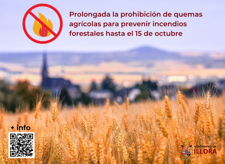 prhobicionquemas